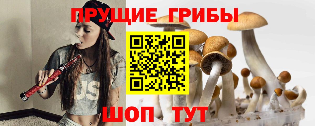 Смоленск  Галлюциногенные грибы GOLDEN TEACHER  Вход с VPN 